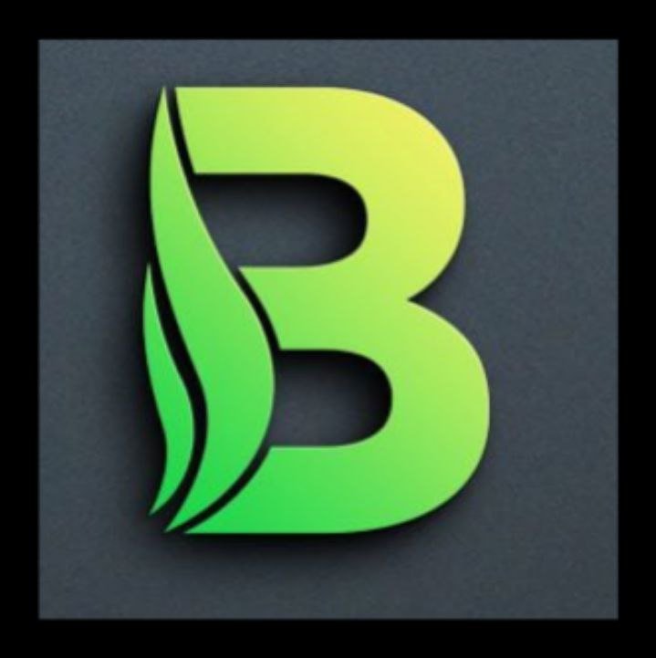 Image for Balma Vip